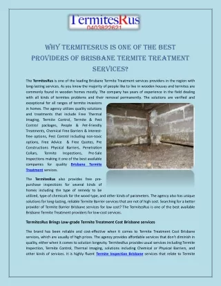 Why TermitesRus is One of the Best Providers of Brisbane Termite Treatment services