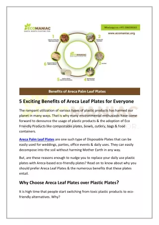 5 Exciting Benefits of Areca Leaf Plates for Everyone