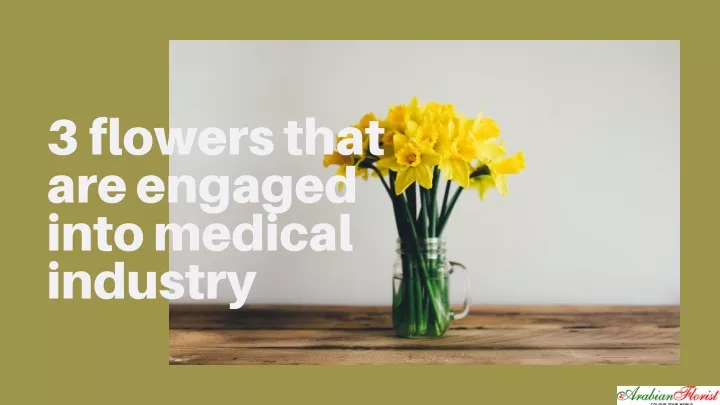 3 flowers that are engaged into medical industry