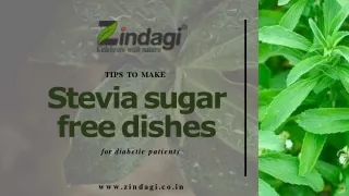 Zindagi- Make stevia sugar free dishes for diabetic patients