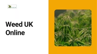 Buy Marijuana Concentrates UK Online from Weed UK