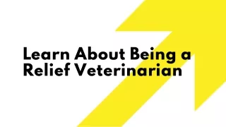 Learn About Being a Relief Veterinarian