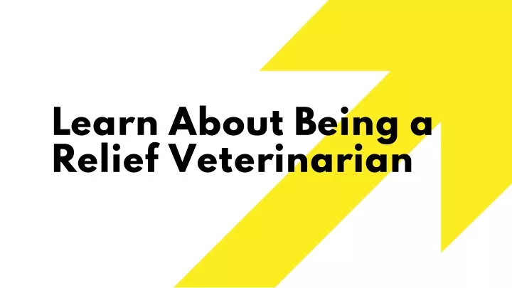 learn about being a relief veterinarian