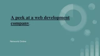 A peek at a web development company.