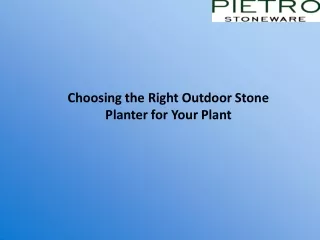 Choosing the Right Outdoor Stone Planter for Your Plant