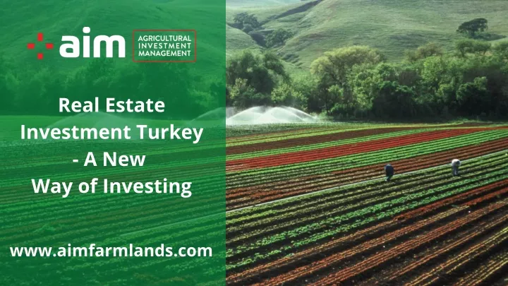 real estate investment turkey