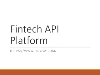 Fintech API Platform (2) lovey