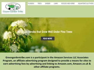 Green Garden Tribe - Amazon Services LLC Associates Program