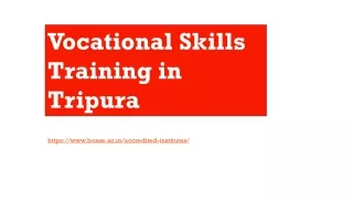 vocational skills training in tripura