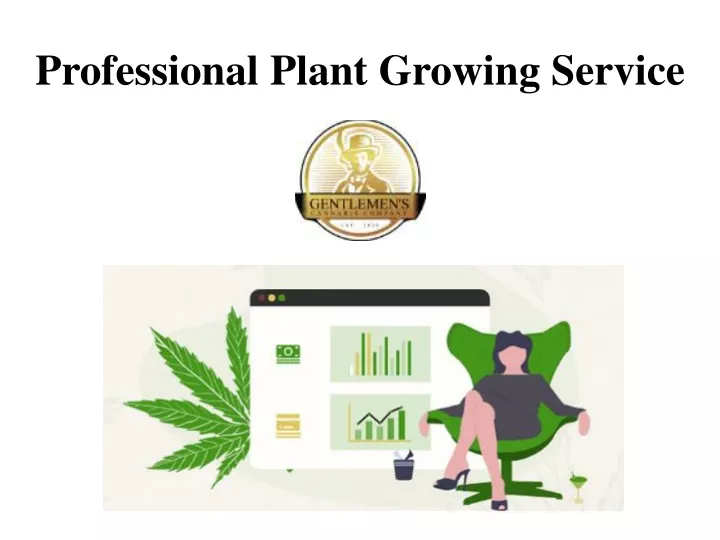professional plant growing service