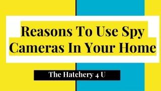 Reasons To Use Spy Cameras In Your Home | The Hatchery 4 U