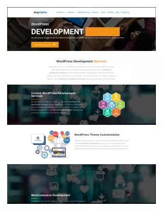 WordPress Development Services by AnyAlpha