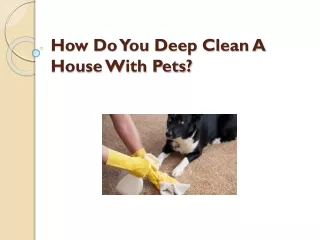How Do You Deep Clean A House With Pets