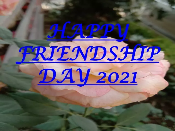 happy friendship day 2021