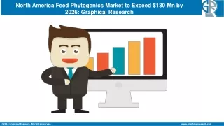 North America Feed Phytogenics Market Statistics 2020 | Size, Share & Forecast