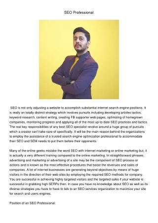 seo professional