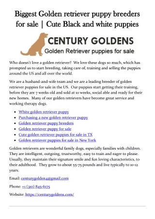 biggest golden retriever puppy breeders biggest