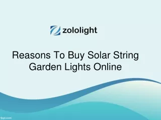 Solar String Garden Light
