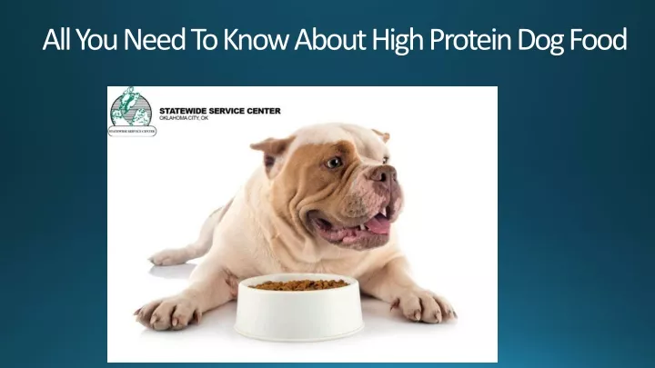 all you need to know about high protein dog food