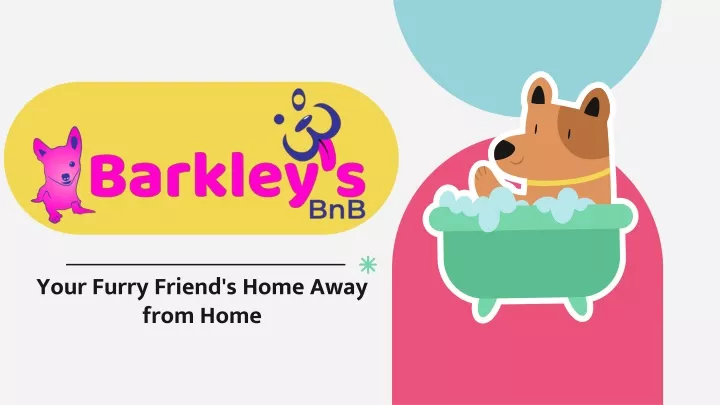 your furry friend s home away from home