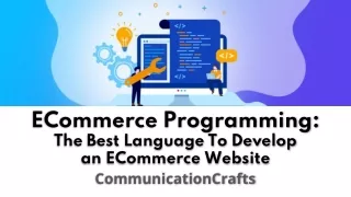 ecommerce programming the best language to develop an ecommerce website