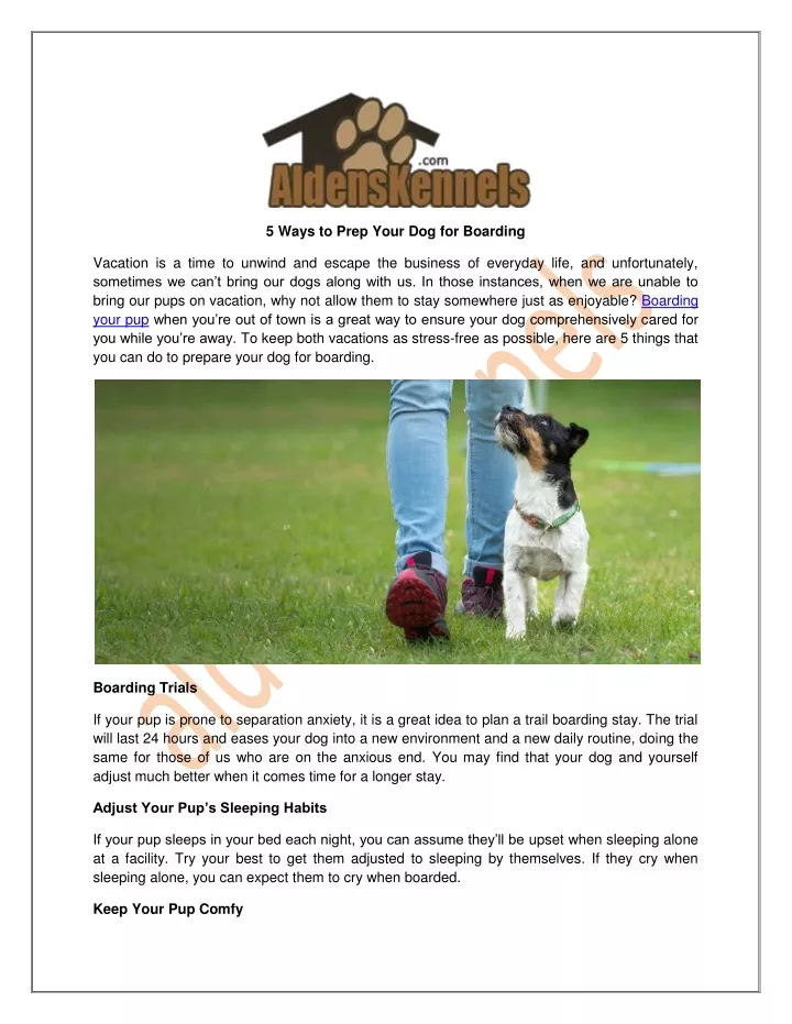 5 ways to prep your dog for boarding