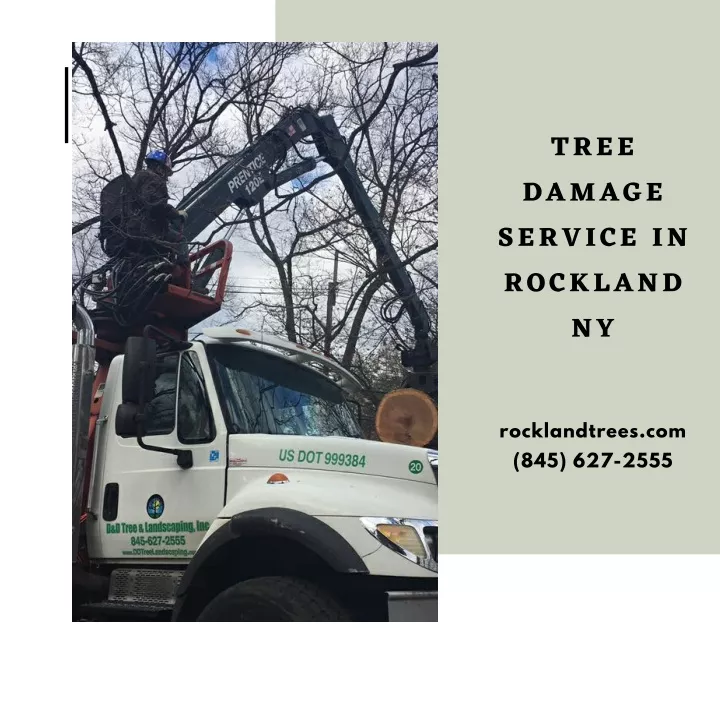 tree damage service in rockland ny