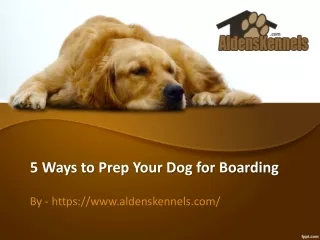 5 Ways to Prep Your Dog for Boarding