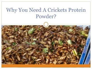 Why You Need A Crickets Protein Powder?