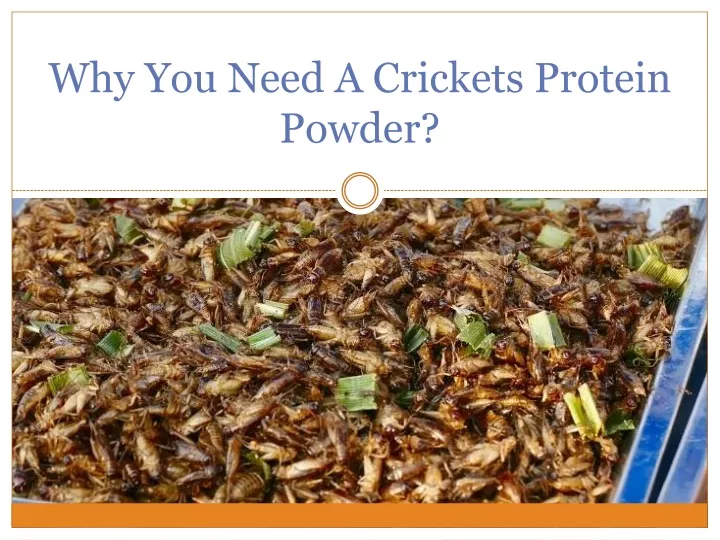 why you need a crickets protein powder