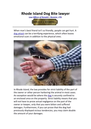 Rhode Island Dog Bite lawyer