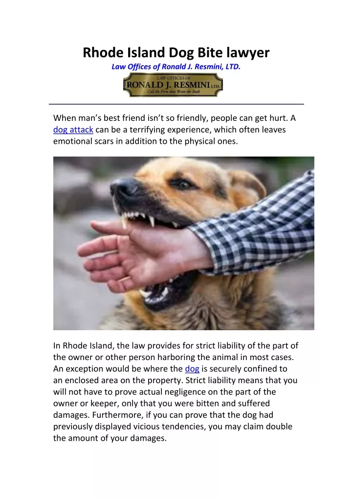 rhode island dog bite lawyer law offices