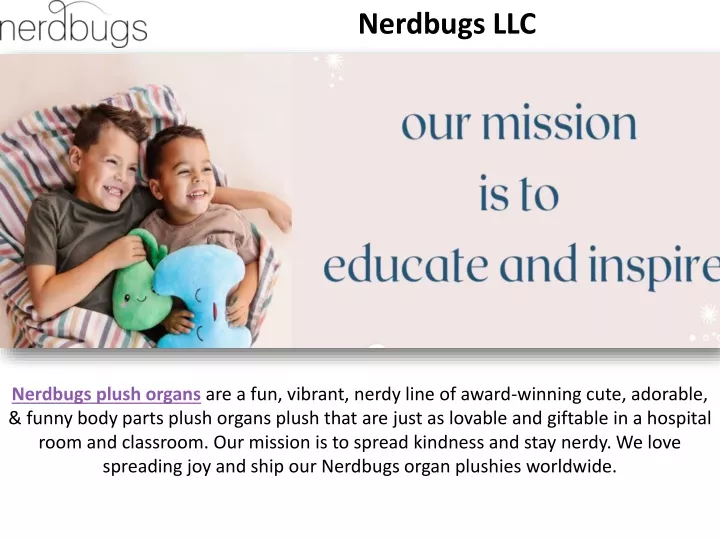 nerdbugs llc