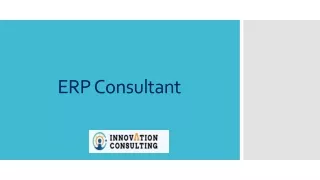 erp c onsultant