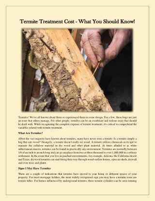 termite treatment cost termite treatment cost