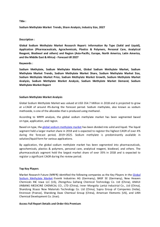 Sodium Methylate Market Analysis