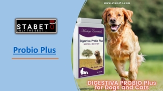 probio plus