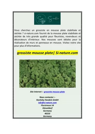 grossiste mousse plate Si-nature.com