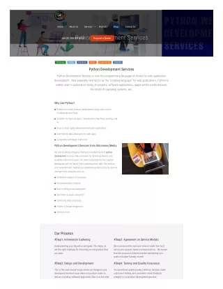 Python Web Development Company