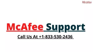 McAfee Antivirus Customer Support Number | Call Us At  1-833-530-2436