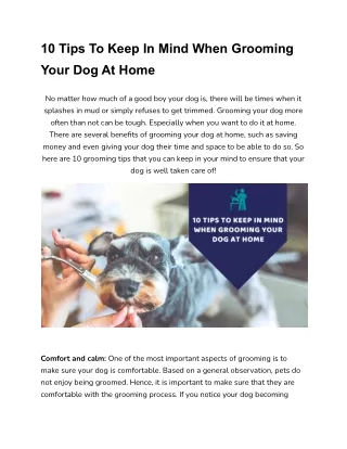 10 Tips To Keep In Mind When Grooming Your Dog At Home