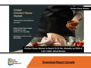 Chicken Flavor Market Current Situation And Growth Forecast To 2026