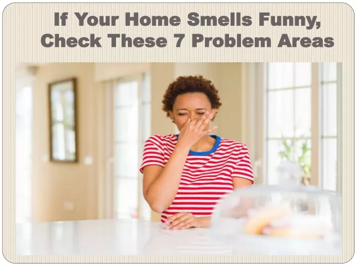 if your home smells funny check these 7 problem areas