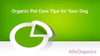 Organic Pet Care Tips for Your Dog