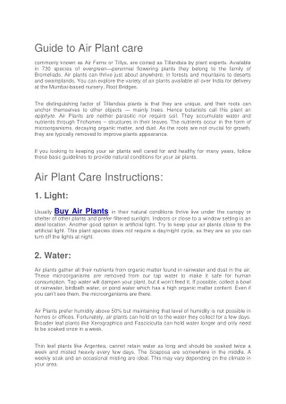 Air Plant Care Instructions