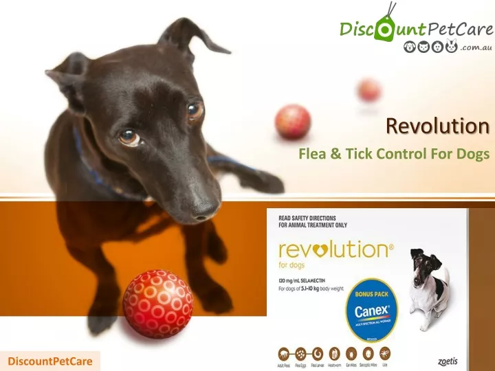 revolution flea tick control for dogs