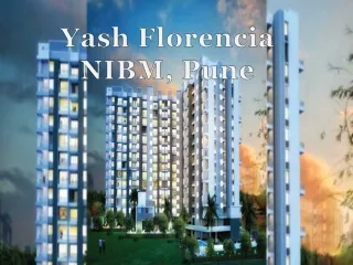 yash florencia nibm pune