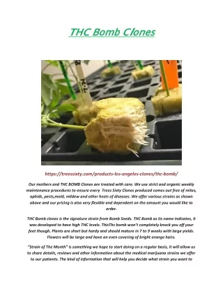 thc bomb clones thc bomb clones