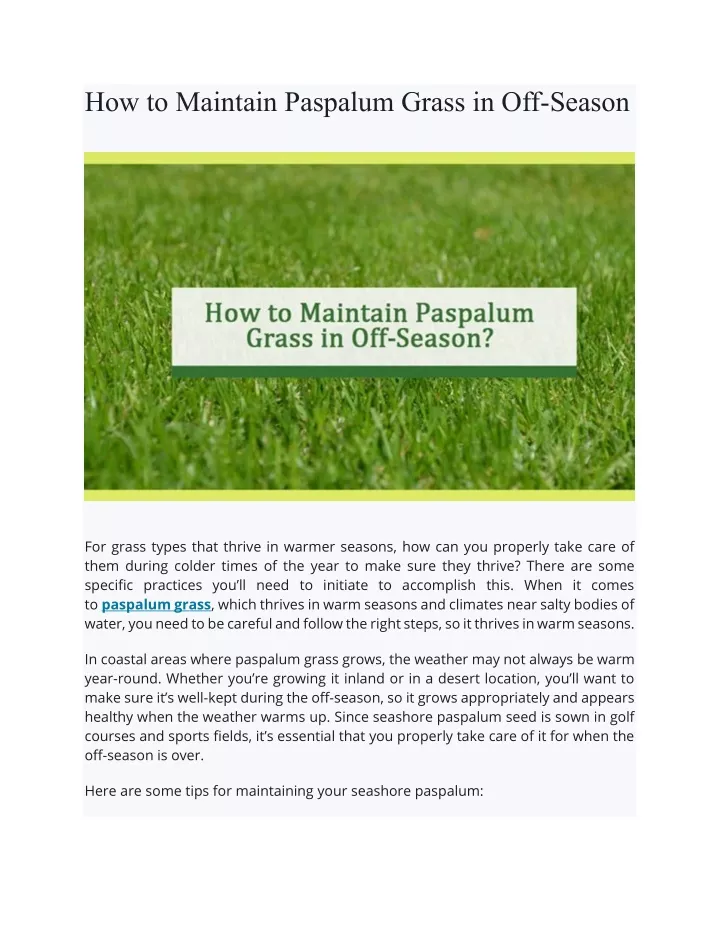 how to maintain paspalum grass in off season