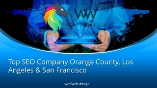 Top SEO Company Orange County, Los Angeles & San Francisco - Wolfweb.design